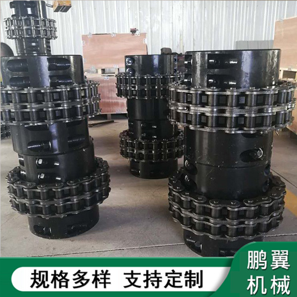 山東加緊式鏈條聯(lián)軸器